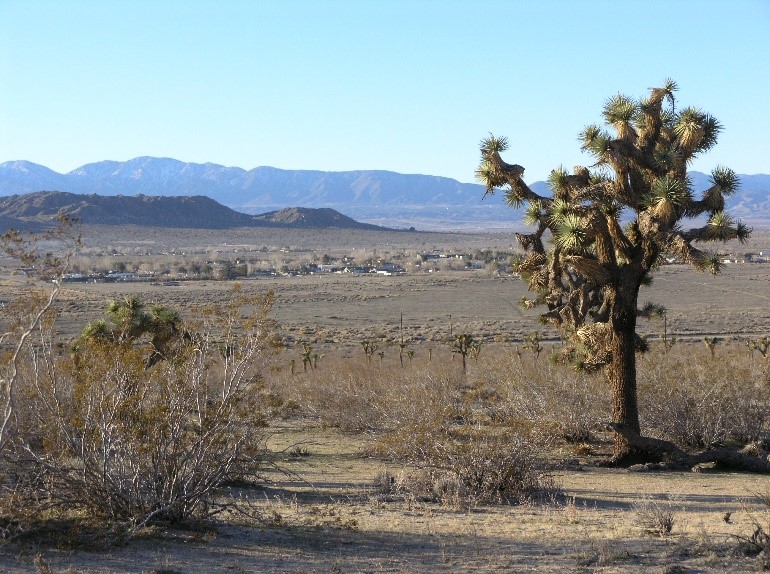 (c) California State Parks